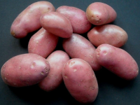 Картофель семенной Калинка 2pc 1кг